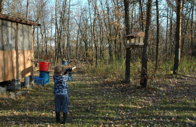 bb gun.jpg - Don't let mom catch you shooting birds out of the bird feeder